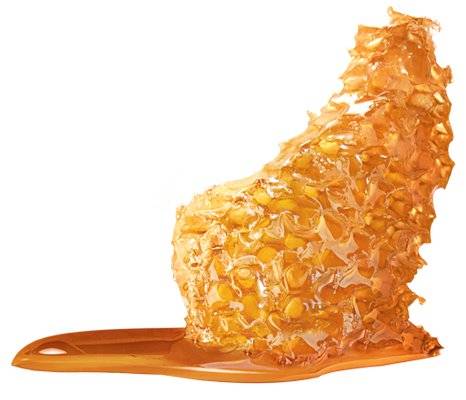 propolis2